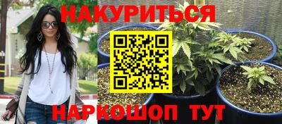 гашиш Будённовск